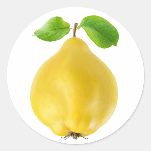 Vruchten Ronde Sticker (Voorkant)