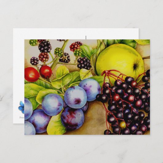 Vruchten uit het fijne briefkaart van de Hedgerow  (Voorkant / Achterkant)