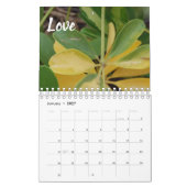 vruchten van de gedistilleerde kalender (Jan 2027)