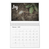 vruchten van de gedistilleerde kalender (Feb 2027)