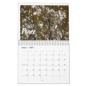 vruchten van de gedistilleerde kalender (Mar 2027)