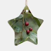 Vruchten van een glanzend bladerdoorn keramisch ornament (Rechts)