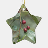 Vruchten van een glanzend bladerdoorn keramisch ornament (Links)