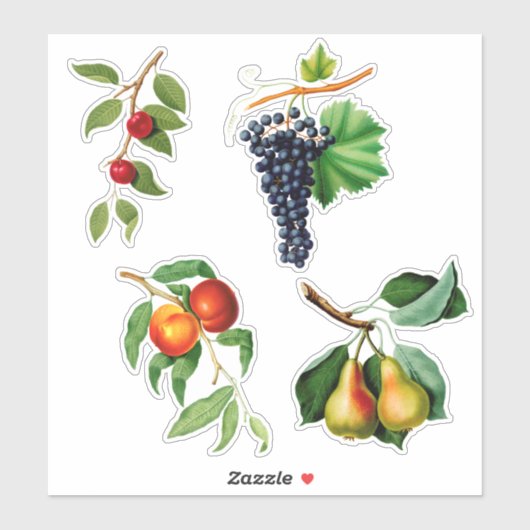 vruchten van Gallesio Sticker (Vel)