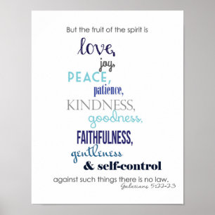 Vruchten van het gedistilleerde Poster