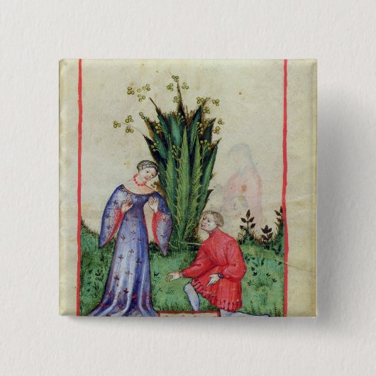 vruchten van Mandrake, van "Tacuinum Sanitatis" Vierkante Button 5,1 Cm (Voorkant)