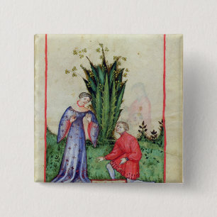 vruchten van Mandrake, van "Tacuinum Sanitatis" Vierkante Button 5,1 Cm