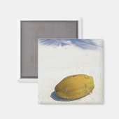 Vruchten van palm magneet (Voorkant / Achterkant)