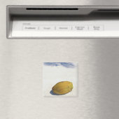 Vruchten van palm magneet (Insitu (Vaatwasser))