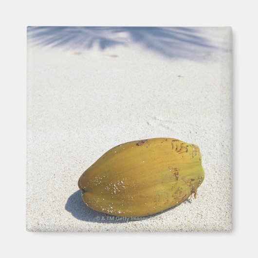 Vruchten van palm magneet (Voorkant)
