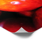 Vruchten van passie afdrukken poster (Hoek)