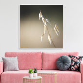 Vruchten van wilde haver canvas afdruk (Insitu (Woonkamer))
