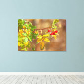 vruchten van wilde Rozen Canvas Afdruk (Insitu (Houten vloer))