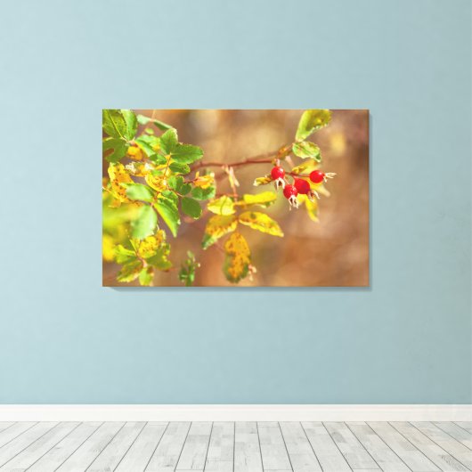 vruchten van wilde Rozen Canvas Afdruk (Insitu (Houten vloer))