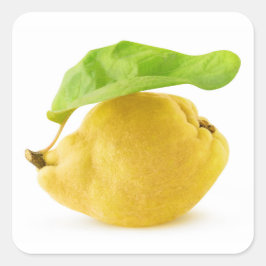 Vruchten Vierkante Sticker