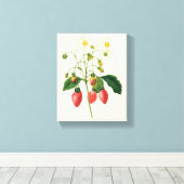  vruchtenbessen Voedingsaardbeien door Redoute Canvas Afdruk (Insitu (Houten vloer))