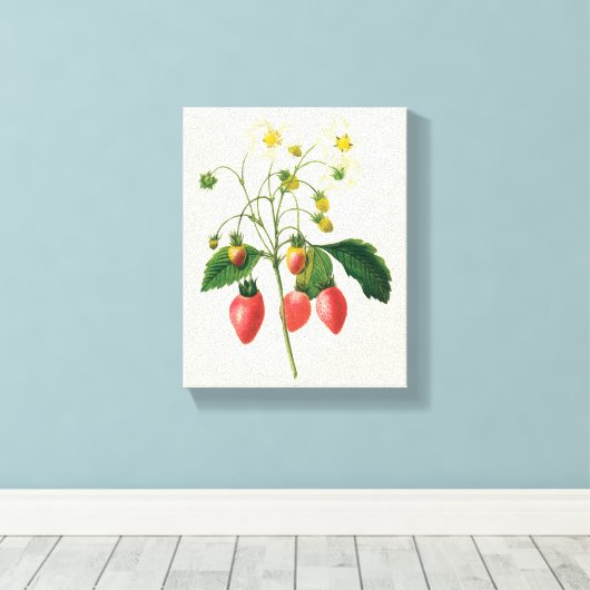 vruchtenbessen Voedingsaardbeien door Redoute Canvas Afdruk (Insitu (Houten vloer))
