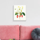  vruchtenbessen Voedingsaardbeien door Redoute Canvas Afdruk (Insitu (Woonkamer))