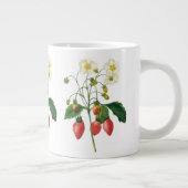  vruchtenbessen Voedingsaardbeien door Redoute Grote Koffiekop (Rechts)