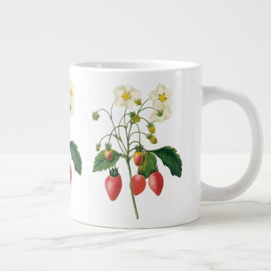  vruchtenbessen Voedingsaardbeien door Redoute Grote Koffiekop (Rechts)