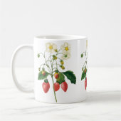  vruchtenbessen Voedingsaardbeien door Redoute Koffiemok (Links)