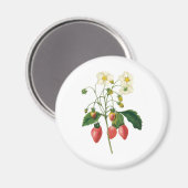 vruchtenbessen Voedingsaardbeien door Redoute Magneet (Voorkant / Achterkant)