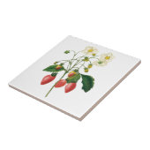  vruchtenbessen Voedingsaardbeien door Redoute Tegeltje (Zijkant)