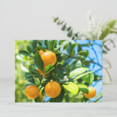 Vruchtende Oranje boom Bedankkaart (Staand voorkant)
