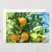 Vruchtende Oranje boom Bedankkaart (Voorkant / Achterkant)