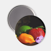 vruchtenstilleven magneet (Voorkant / Achterkant)