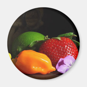 vruchtenstilleven magneet