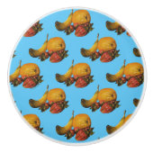 Vruchtknoppen Keramische Knop (Voorkant)