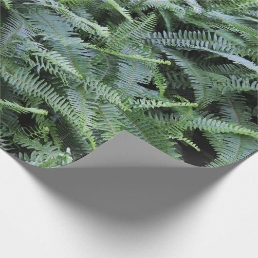 Vruchtpapier Cadeaupapier (Hoek)