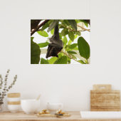 Vruchtvet in de vorm van vlokken poster (Keuken)