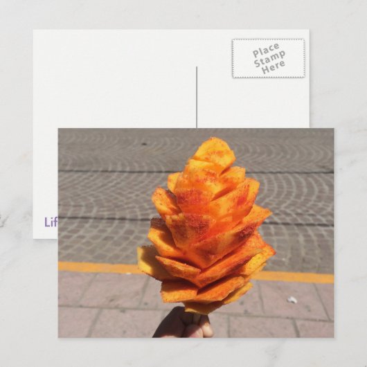 Vruchtvetvrij Briefkaart (Voorkant / Achterkant)