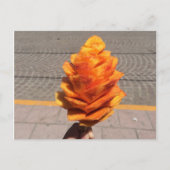 Vruchtvetvrij Briefkaart (Voorkant)