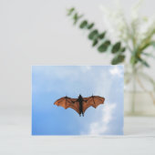 Vruchtvleermuis Briefkaart (Staand voorkant)