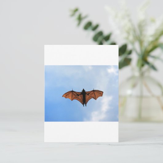 Vruchtvleermuis Briefkaart (Staand voorkant)