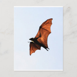 Vruchtvleermuis (vliegende vos) briefkaart