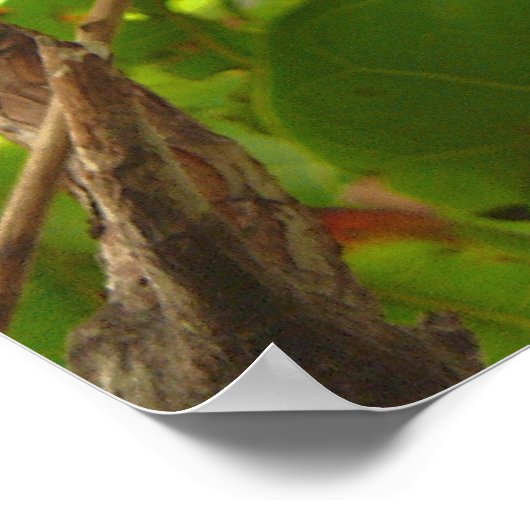 Vruchtvlees Poster (Hoek)