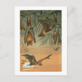 Vruchtvlekken Briefkaart (Voorkant)