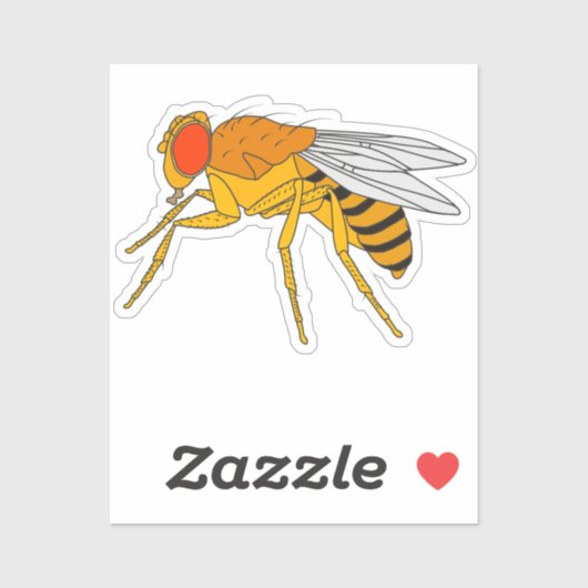 Vruchtvliegende sticker (Vel)