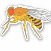 Vruchtvliegende sticker (Voorkant)