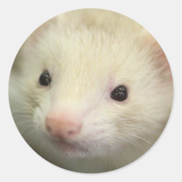 Vruchtzijde Ronde Sticker