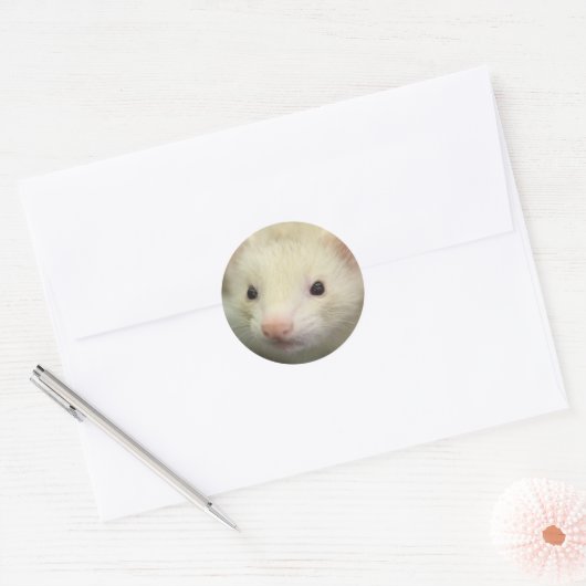 Vruchtzijde Ronde Sticker (Envelop)