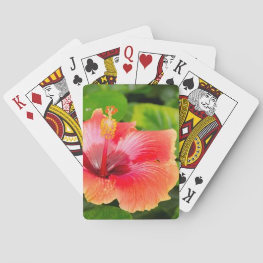 VS, Alabama, Theodore bij Mobile 4 Pokerkaarten (Achterkant)