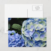 VS, Alabama, Theodore Near Mobile 2 Briefkaart (Voorkant / Achterkant)