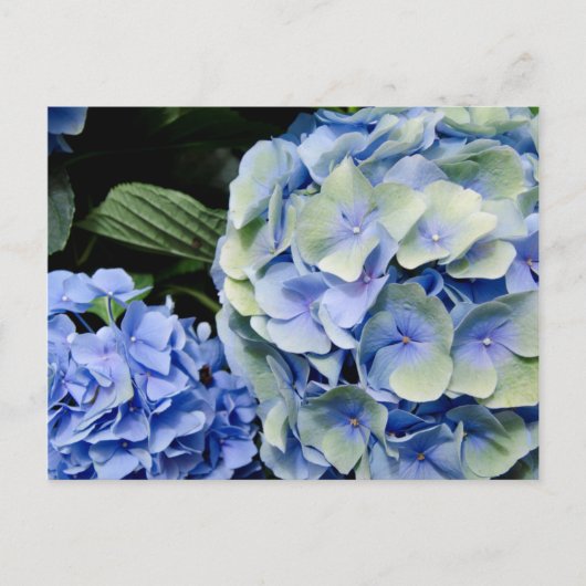 VS, Alabama, Theodore Near Mobile 2 Briefkaart (Voorkant)