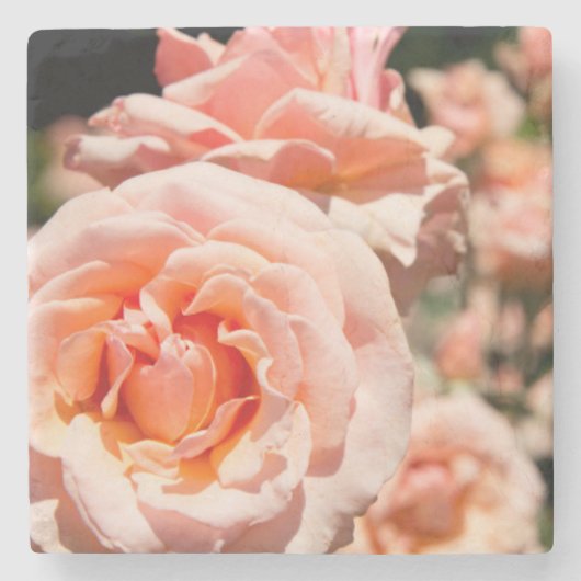 VS, Alabama, Theodore Near Mobile 5 Stenen Onderzetter (Voorkant)