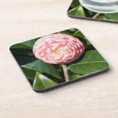 VS, Alabama, Theodore Near Mobile Bier Onderzetter (Linkerzijde)